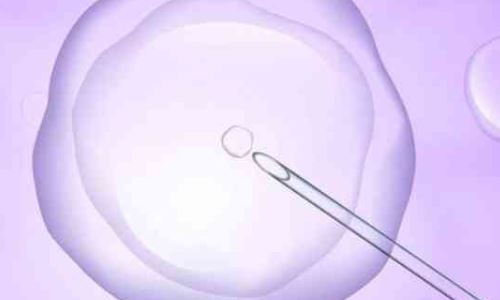 鲜胚移植质量一般会着床吗?鲜胚移植后几天余着床?