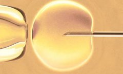 试管婴儿移植襄胚无特别不适好吗?试管婴儿鲜胚好还是襄胚好?
